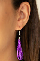 Paparazzi Neclace and Earrings - Purple