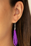 Paparazzi Neclace and Earrings - Purple